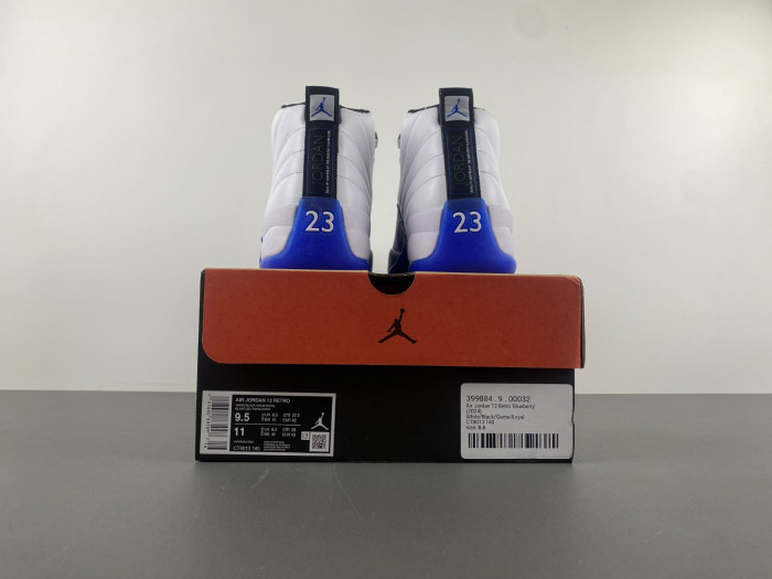 Jordan 12 Retro Blueberry CT8013-140