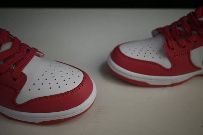 nike dunk low archeo pink dd1503-111