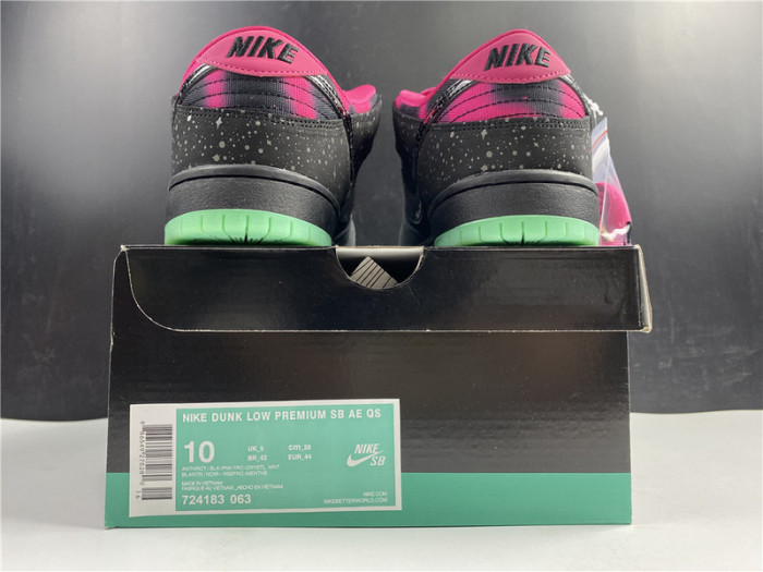 premier x nike sb dunk low premium “N0*Hern lights” 724183-063