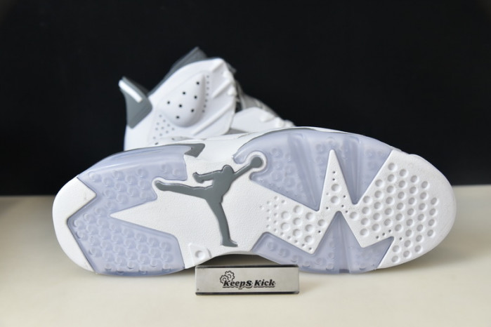 air jordan 6 "cool grey" ct8529-100